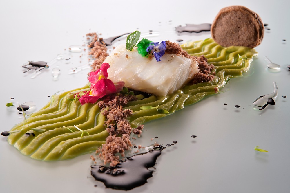 XENIA S.A.S. di Pasotti Edoardo e C | Taste